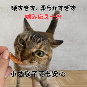 国産ささみジャーキー（50g） - 画像 (5)