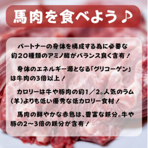 最高級馬肉ジャーキー（50g） - 画像 (3)